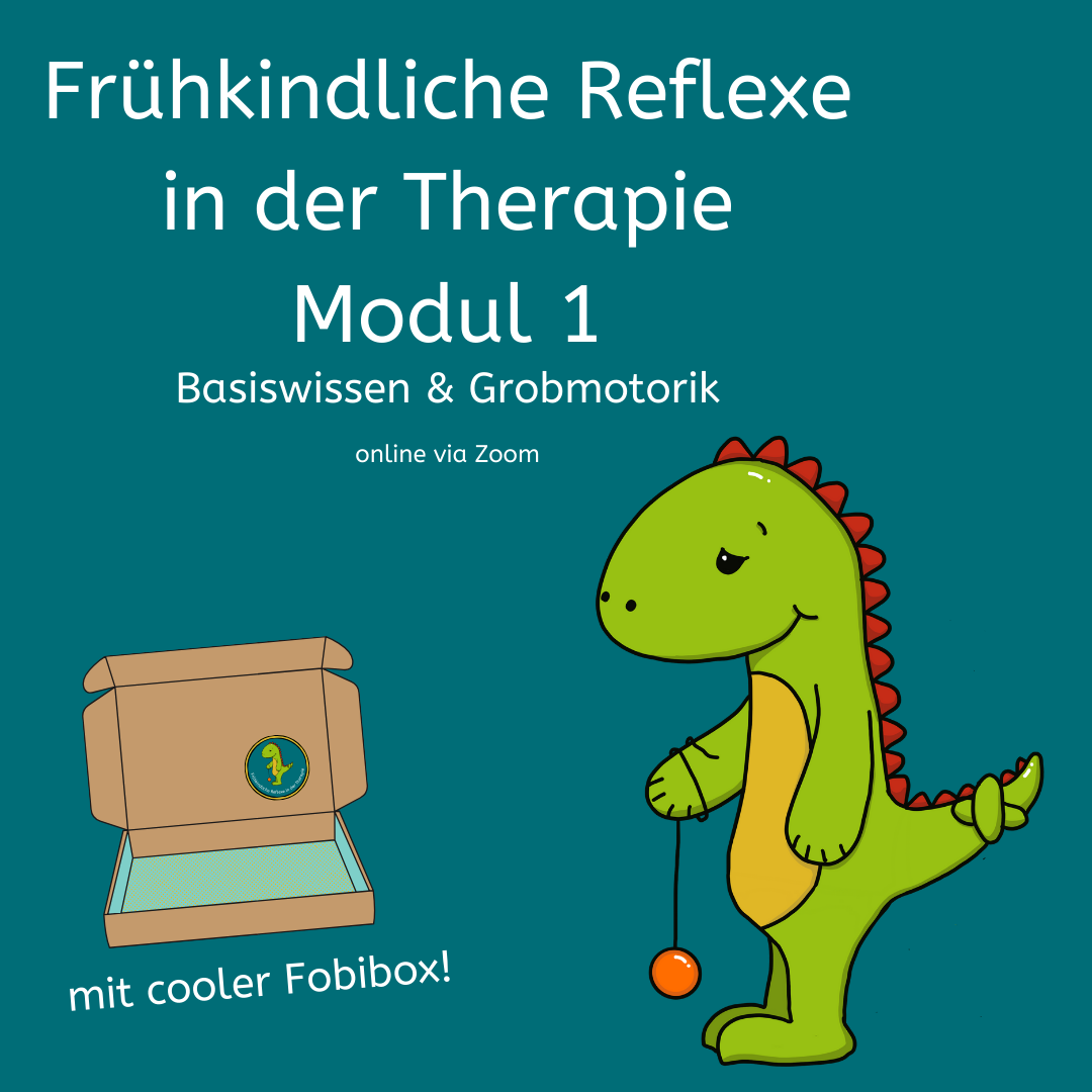 Modul 1: Basiswissen & Grobmotorik